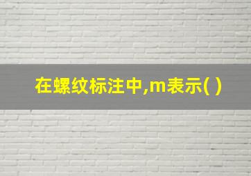 在螺纹标注中,m表示( )